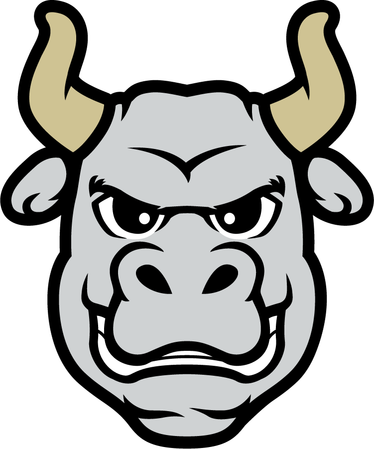 South Florida Bulls 2022-Pres Mascot Logo diy iron on heat transfer